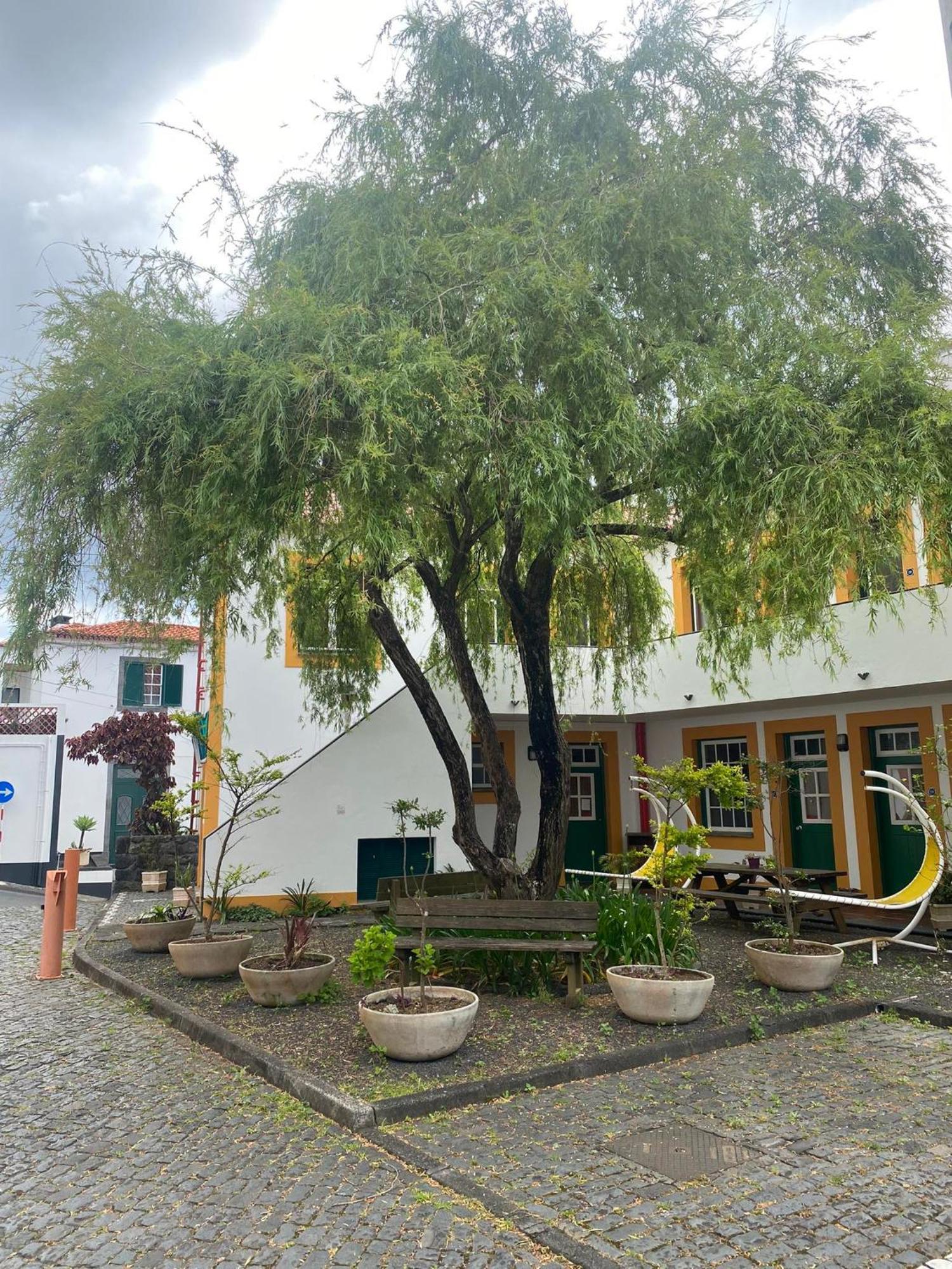Hospedaria Verdemar Horta  Kültér fotó